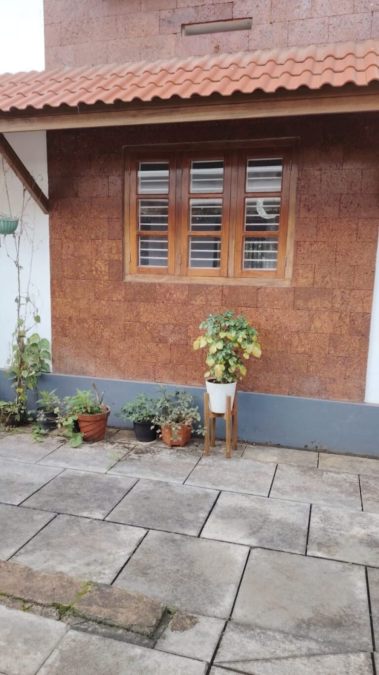 0955064f-e513-4eb3-bb7e-72345f1691e7