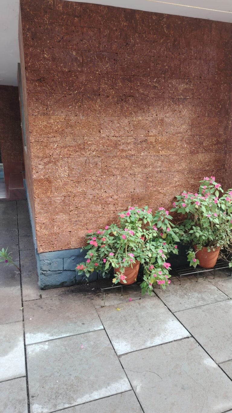 524ef81f-3a4c-4888-b72e-05272a7ef159