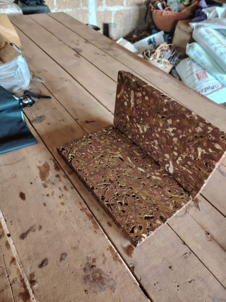 WhatsApp Image 2025-10-23 at 10.26.43 AM (1)