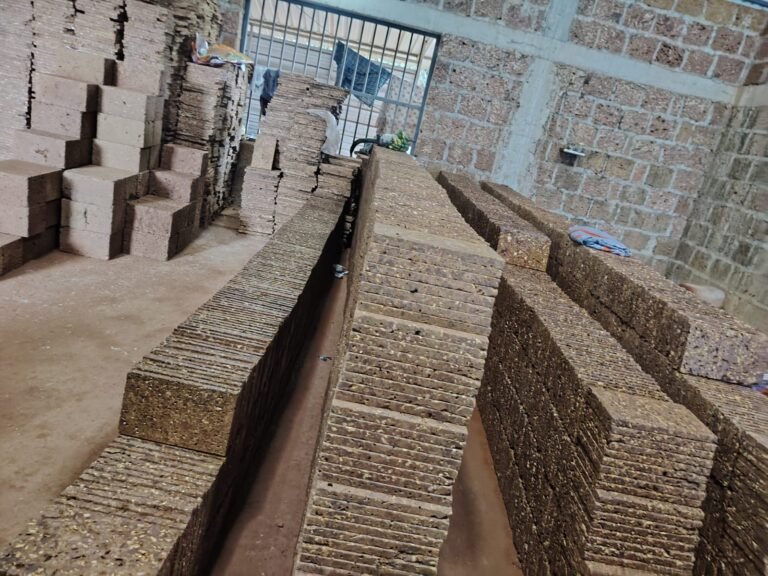 WhatsApp Image 2025-10-23 at 10.26.44 AM (1)