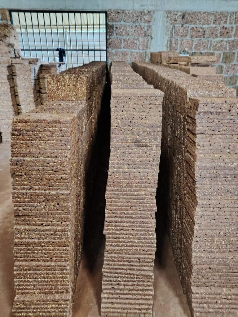 WhatsApp Image 2025-10-23 at 10.26.46 AM