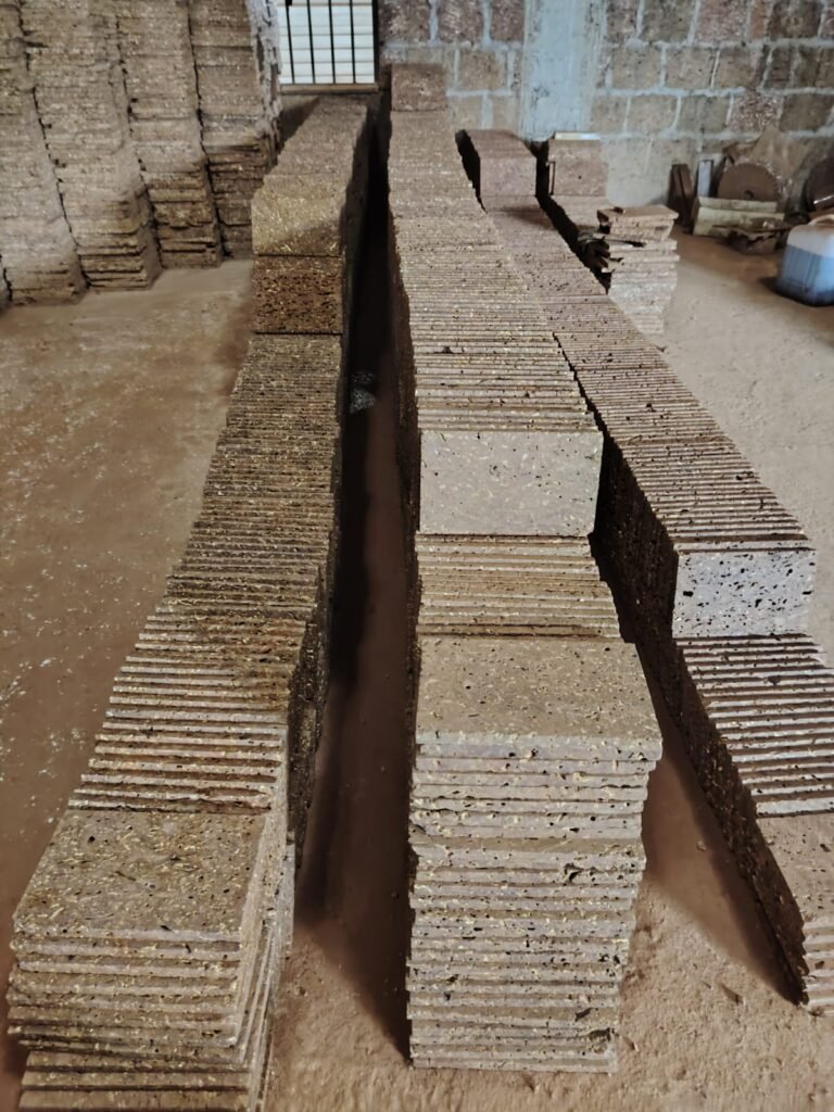 WhatsApp Image 2025-10-23 at 10.26.47 AM (2)